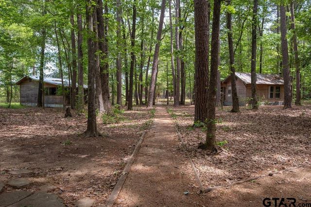 153 W CR 319, Tyler, TX 75706