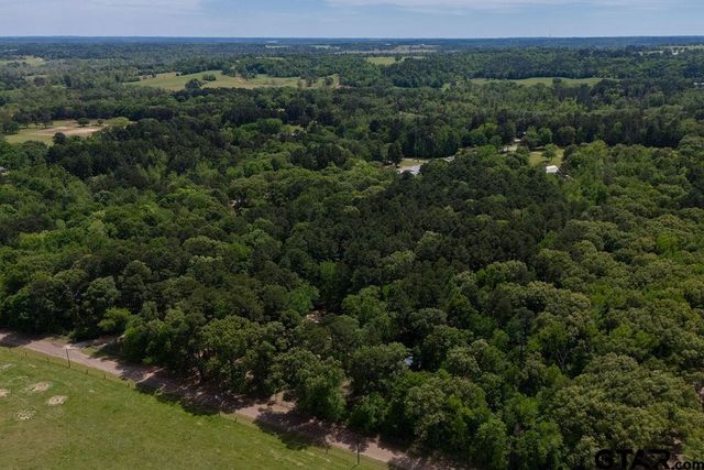153 W CR 319, Tyler, TX 75706