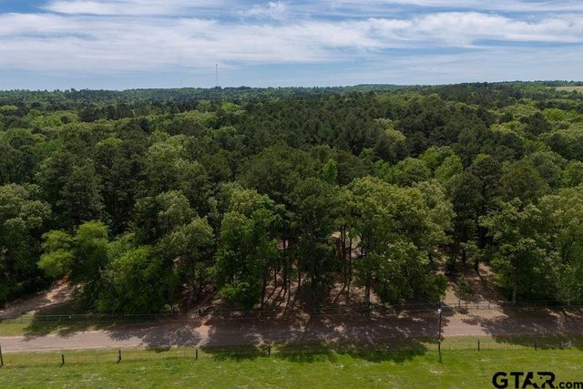 153 W CR 319, Tyler, TX 75706