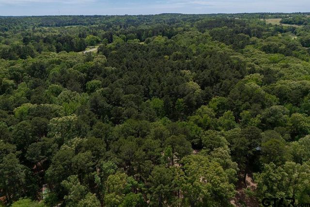 153 W CR 319, Tyler, TX 75706
