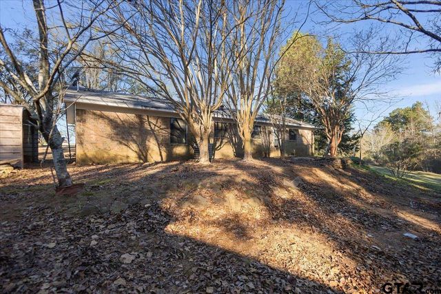 10715 S CR 461, Laneville, TX 75667