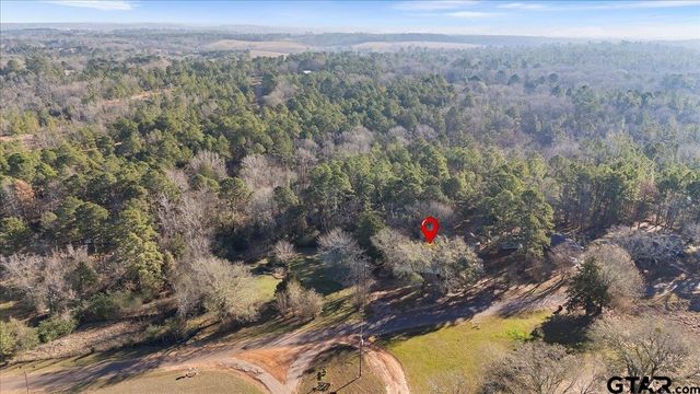 10715 S CR 461, Laneville, TX 75667