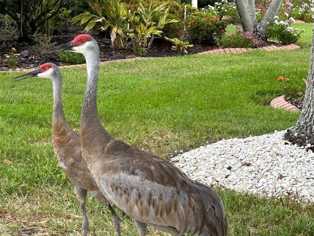 4553 CHARING CROSS ROAD, Sarasota, FL 34241