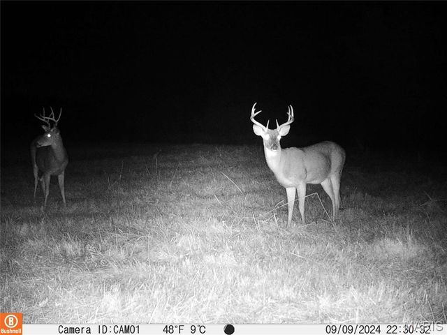 11373 Thunder Ridge Road, Richwoods, MO 63071