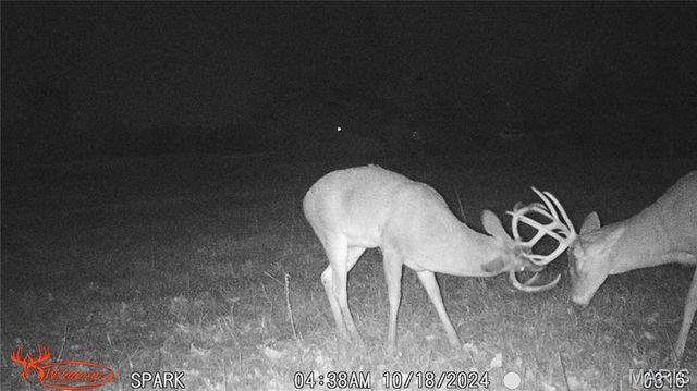 11373 Thunder Ridge Road, Richwoods, MO 63071