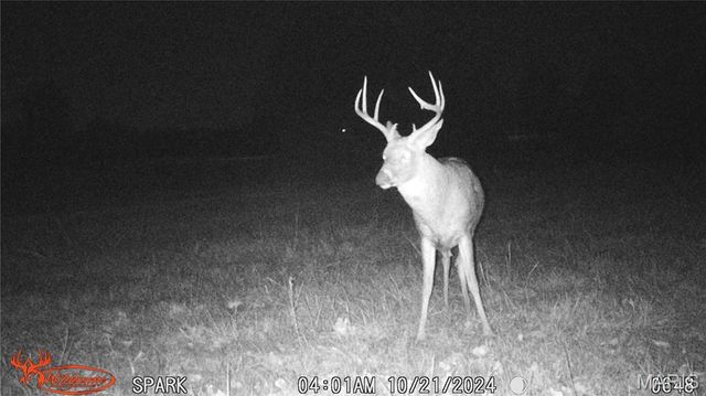 11373 Thunder Ridge Road, Richwoods, MO 63071