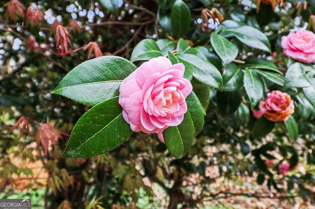 2815 Indian Trail Drive, Tucker, GA 30082