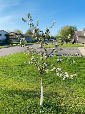 1271 Stone Ridge Road, Sauk Rapids, MN 56379