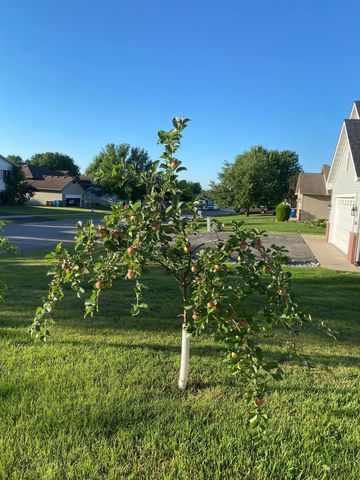 1271 Stone Ridge Road, Sauk Rapids, MN 56379