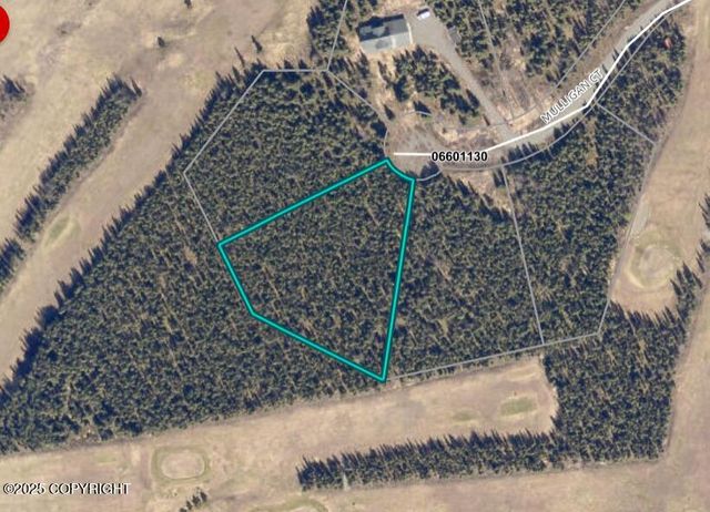 L3 Mulligan Court, Soldotna, AK 99669