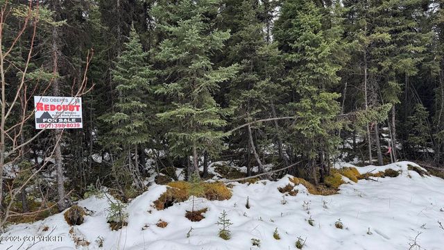 L3 Mulligan Court, Soldotna, AK 99669