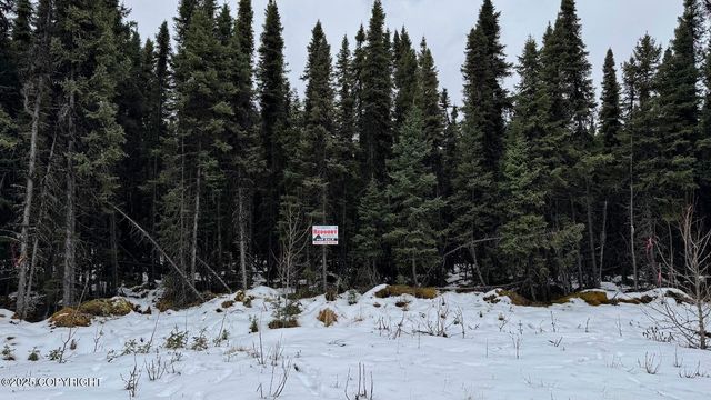 L3 Mulligan Court, Soldotna, AK 99669