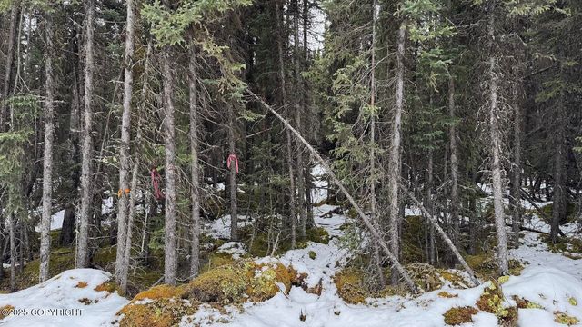 L3 Mulligan Court, Soldotna, AK 99669