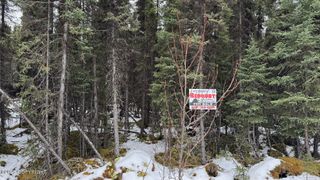 L3 Mulligan Court, Soldotna, AK 99669