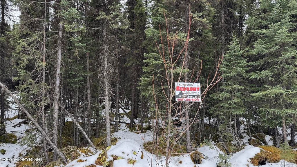 L3 Mulligan Court, Soldotna, AK 99669