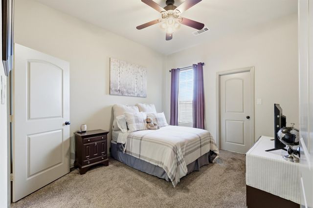 14099 Windrow Drive, Talty, TX 75126