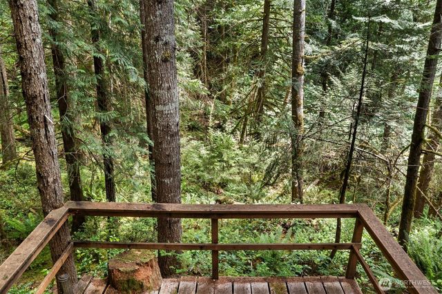 20 N Mount Jupiter Court, Hoodsport, WA 98548
