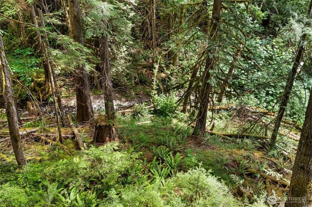20 N Mount Jupiter Court, Hoodsport, WA 98548