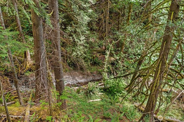 20 N Mount Jupiter Court, Hoodsport, WA 98548