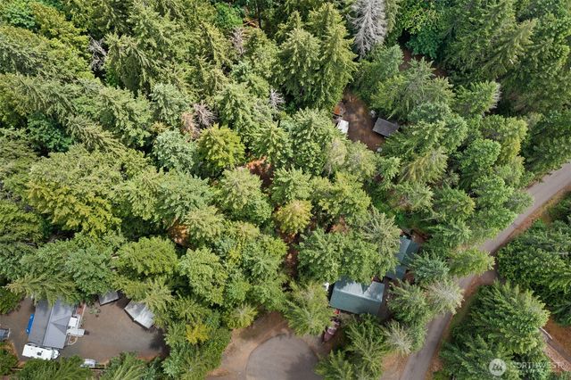 20 N Mount Jupiter Court, Hoodsport, WA 98548