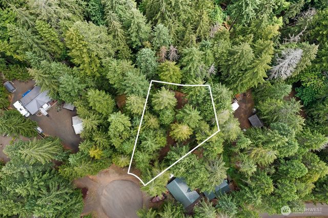 20 N Mount Jupiter Court, Hoodsport, WA 98548