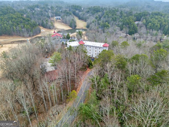 697 Zeppelin Strasse, Helen, GA 30545