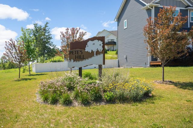 27231 Petes Hill Trail, Elko New Market, MN 55020