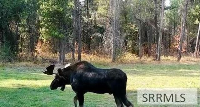 1582 Maggie Lane, Ashton, ID 83420