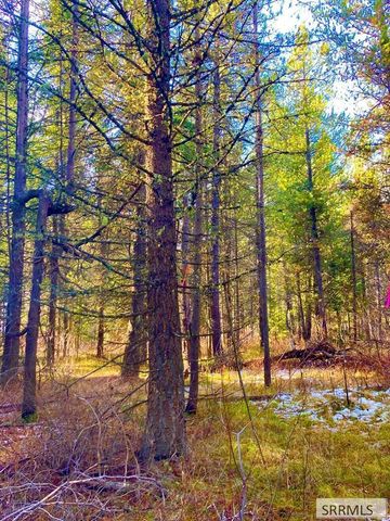 1582 Maggie Lane, Ashton, ID 83420