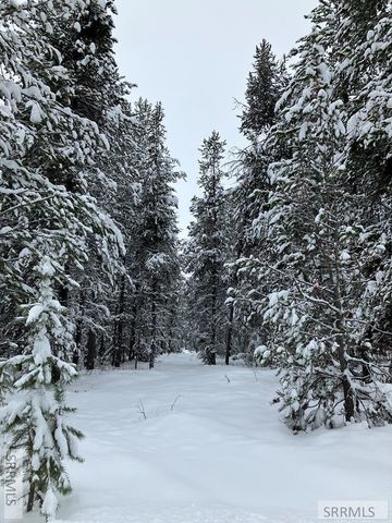 1582 Maggie Lane, Ashton, ID 83420