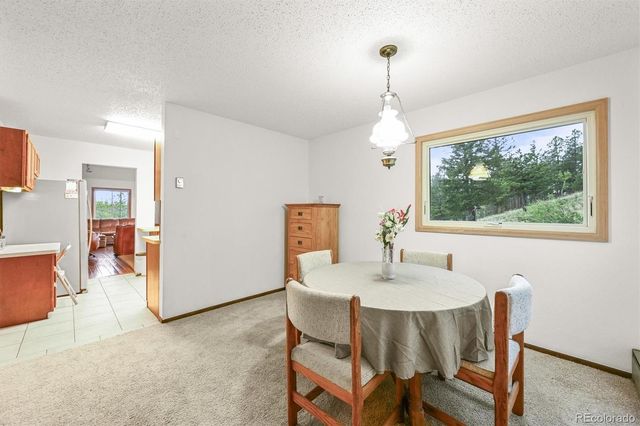 2169 Vigilante Avenue, Bailey, CO 80421