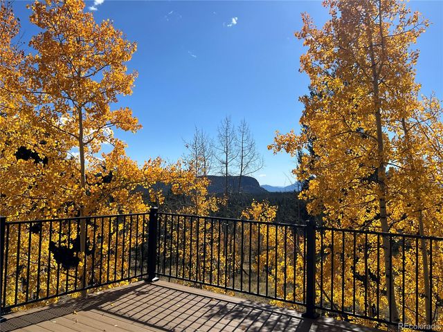 2169 Vigilante Avenue, Bailey, CO 80421