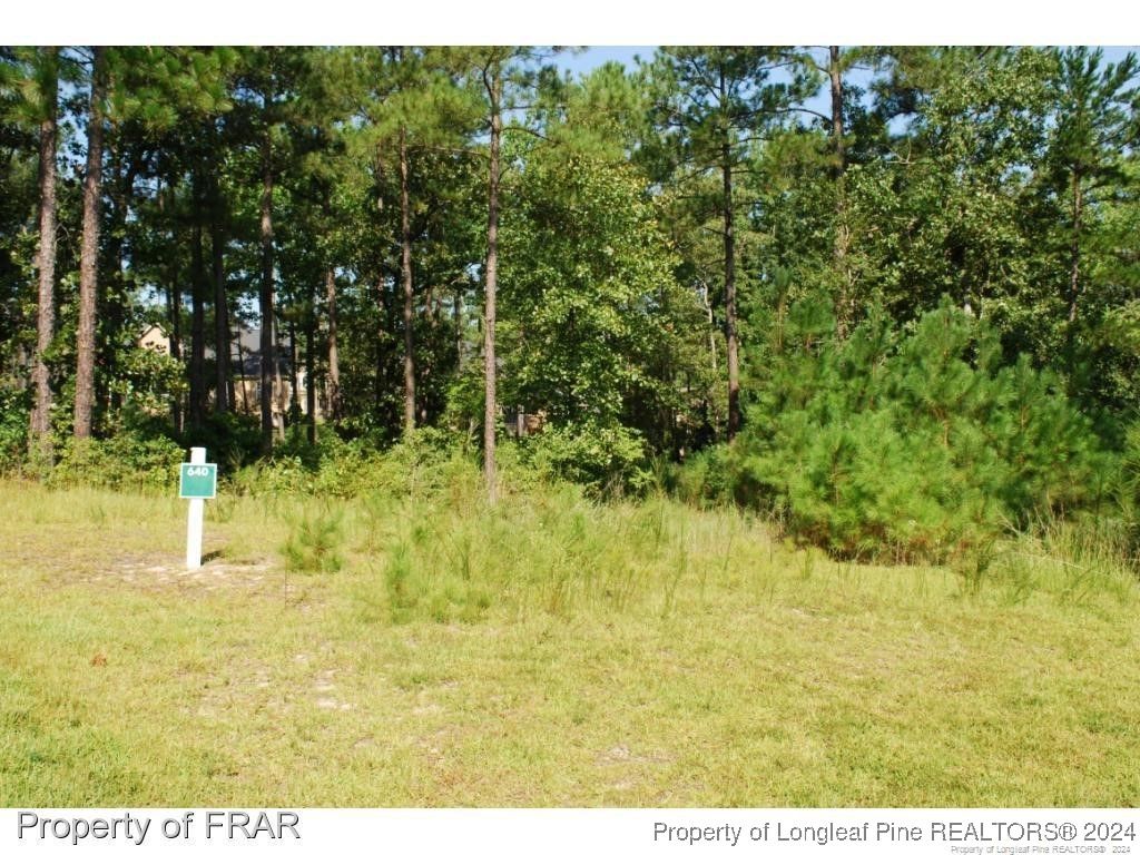 232 Broadlake (640) Lane, Spring Lake, NC 28390 — photo 2