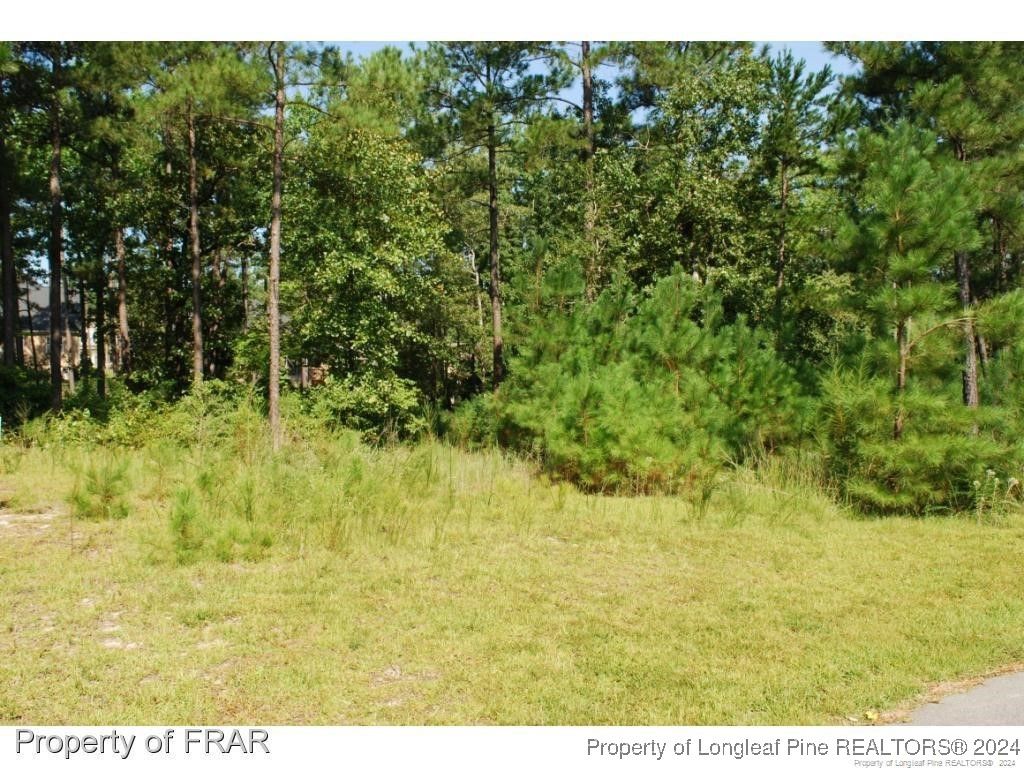232 Broadlake (640) Lane, Spring Lake, NC 28390 — photo 3