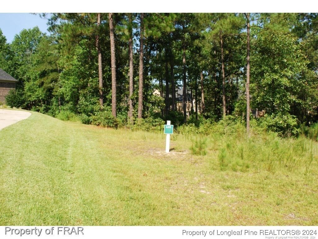 232 Broadlake (640) Lane, Spring Lake, NC 28390 — photo 4