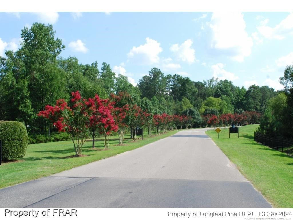 232 Broadlake (640) Lane, Spring Lake, NC 28390 — photo 6
