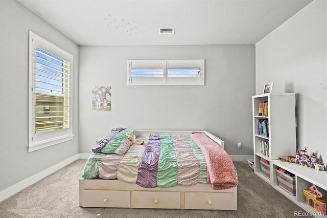 5411 Edenborn Way, Castle Rock, CO 80104