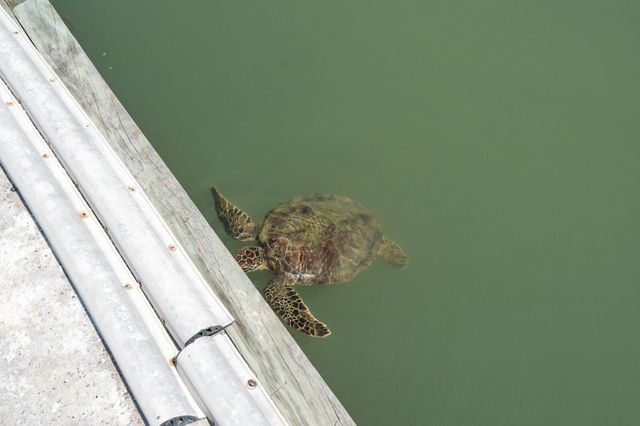 318 W Cotter Ave 1, Port Aransas, TX 78373