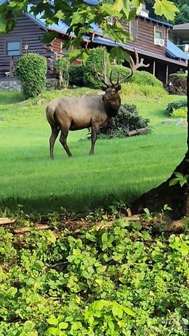 30 Hillcrest Road, Maggie Valley, NC 28751