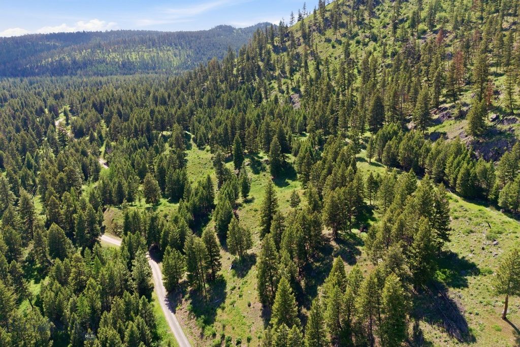 1225 Big Waters Ranch, Seeley Lake, MT 59868 photo 4