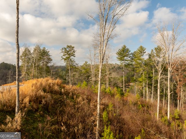 LT 243 High River Crossing, Ellijay, GA 30540