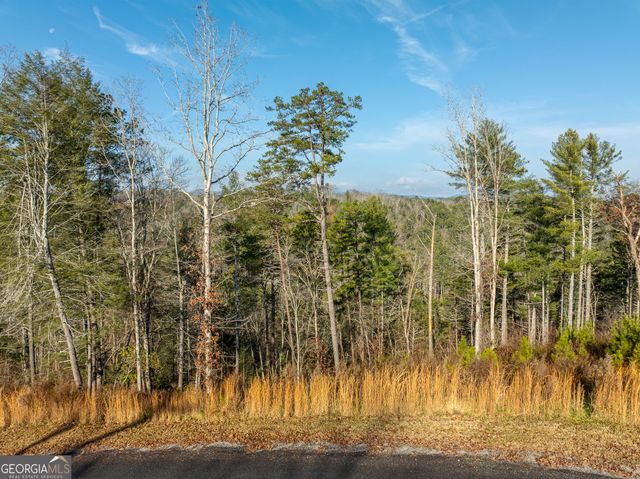 LT 243 High River Crossing, Ellijay, GA 30540