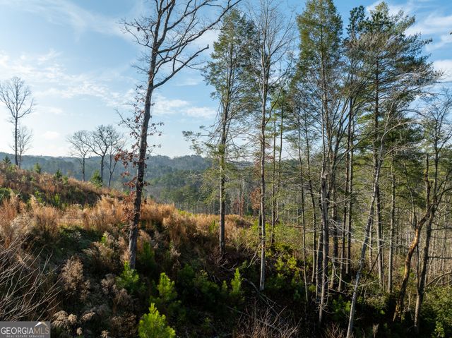 LT 243 High River Crossing, Ellijay, GA 30540