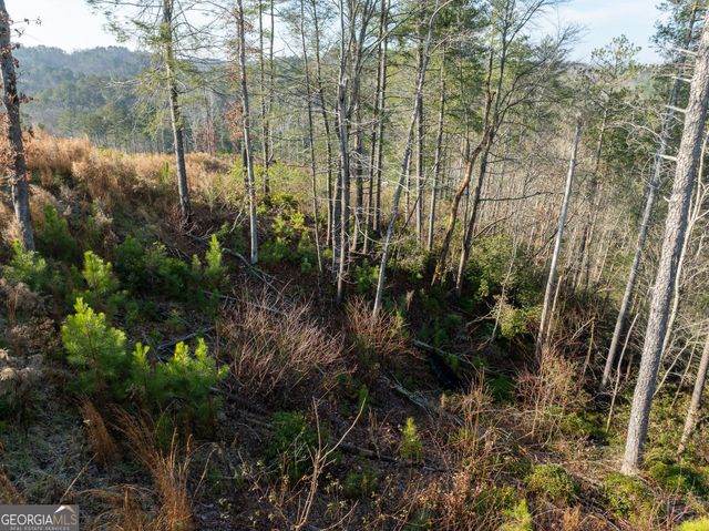 LT 243 High River Crossing, Ellijay, GA 30540