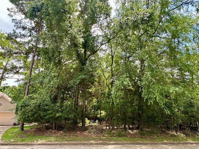3310 Dunes Circle, Montgomery, TX 77356