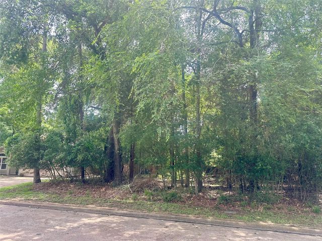 3310 Dunes Circle, Montgomery, TX 77356