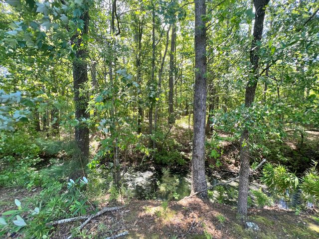 205 Jackson Street, Goose Creek, SC 29445