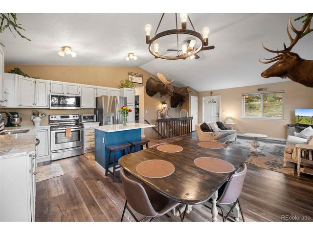 176 Fawn Rd, Bailey, CO 80421