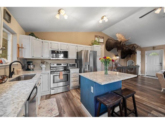 176 Fawn Rd, Bailey, CO 80421