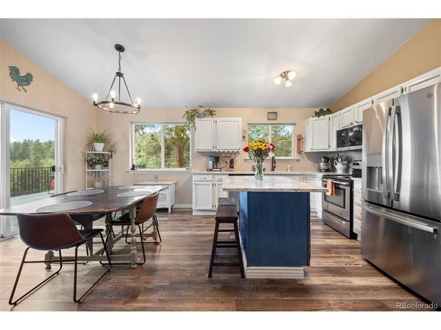 176 Fawn Rd, Bailey, CO 80421